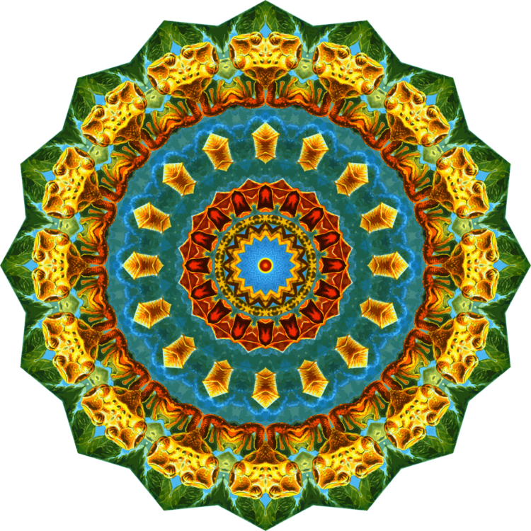 Circle,Flower,Symmetry