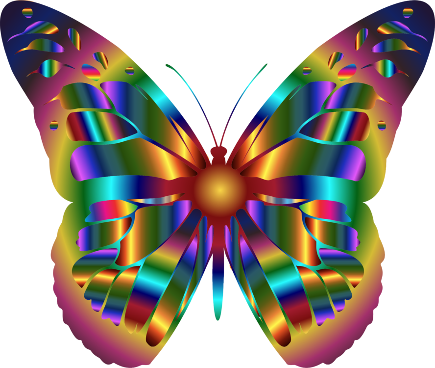 Free 295 Butterfly Rainbow Svg SVG PNG EPS DXF File