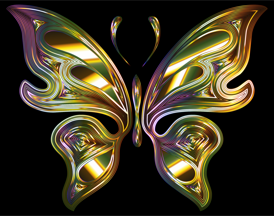 Butterfly,Symmetry,Moth