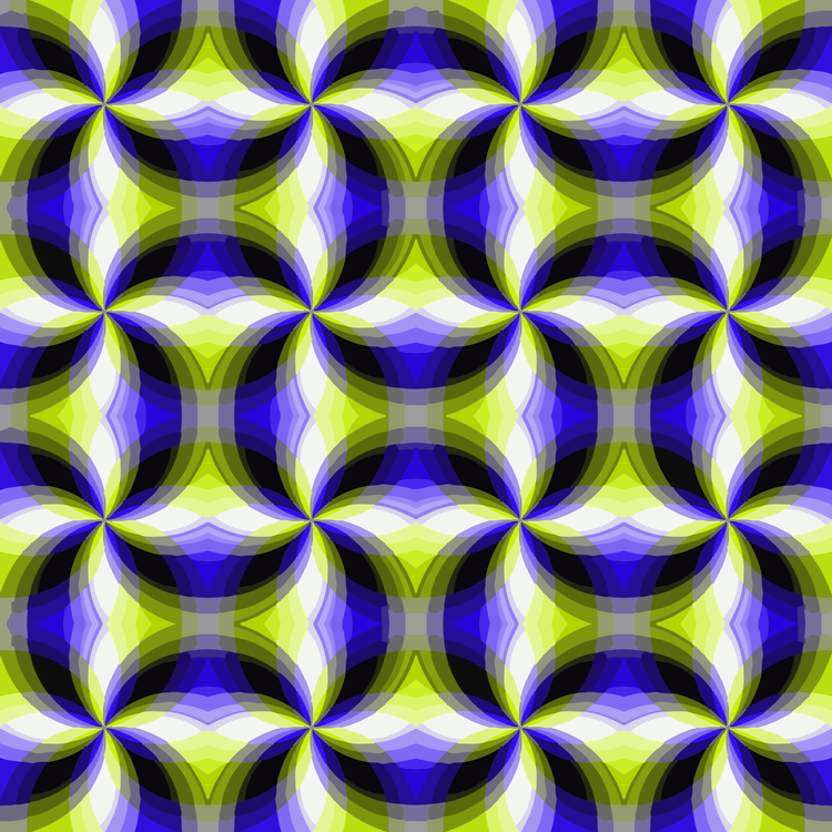 Petal,Symmetry,Purple