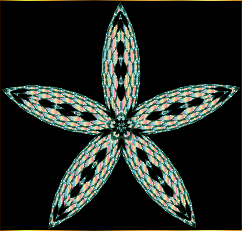 Organism,Starfish,Symmetry