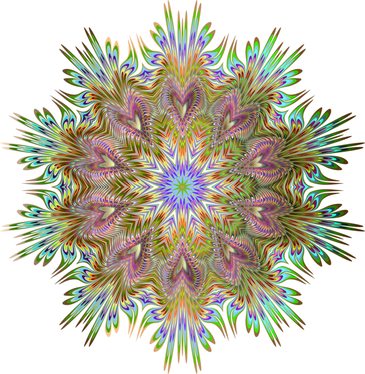 Organism,Symmetry,Kaleidoscope
