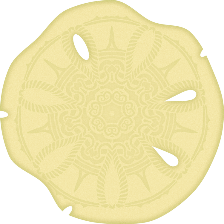 Yellow,Oval,Circle