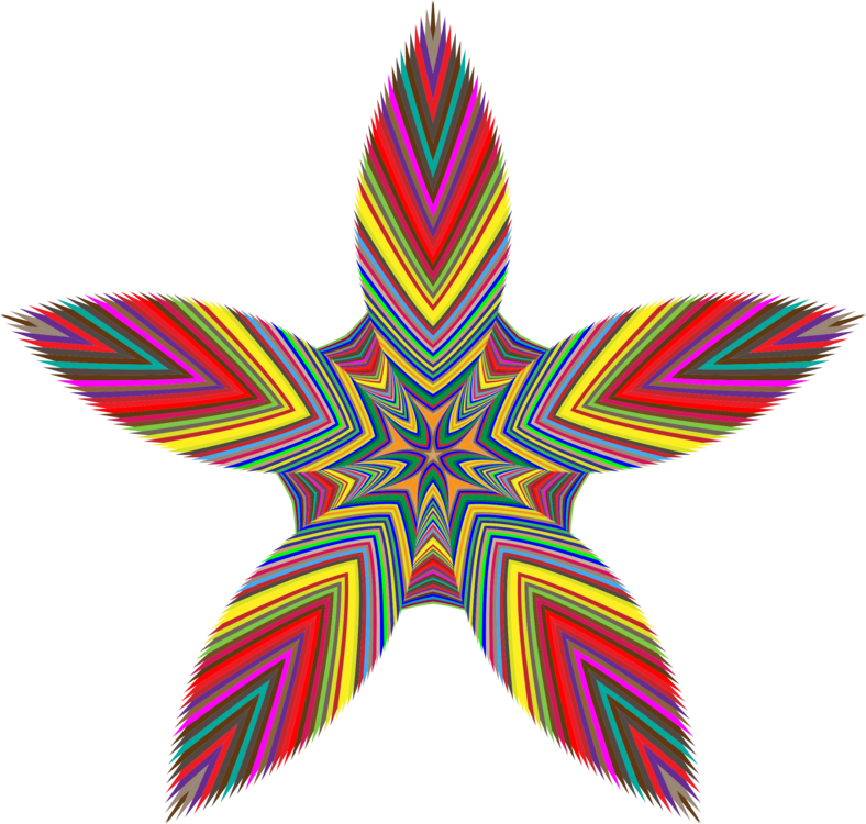 Leaf,Symmetry,Starfish