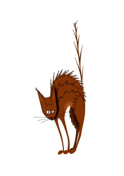 Red Fox,Wildlife,Paw