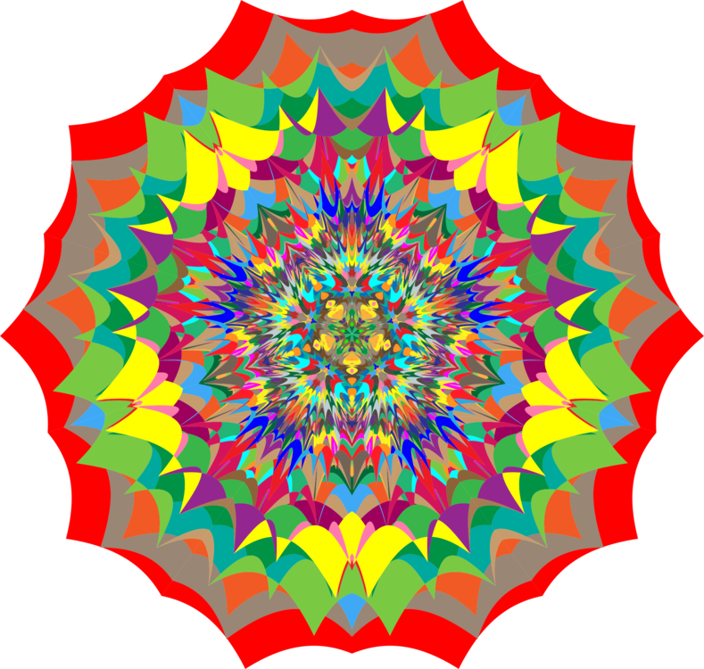 Flower,Symmetry,Line