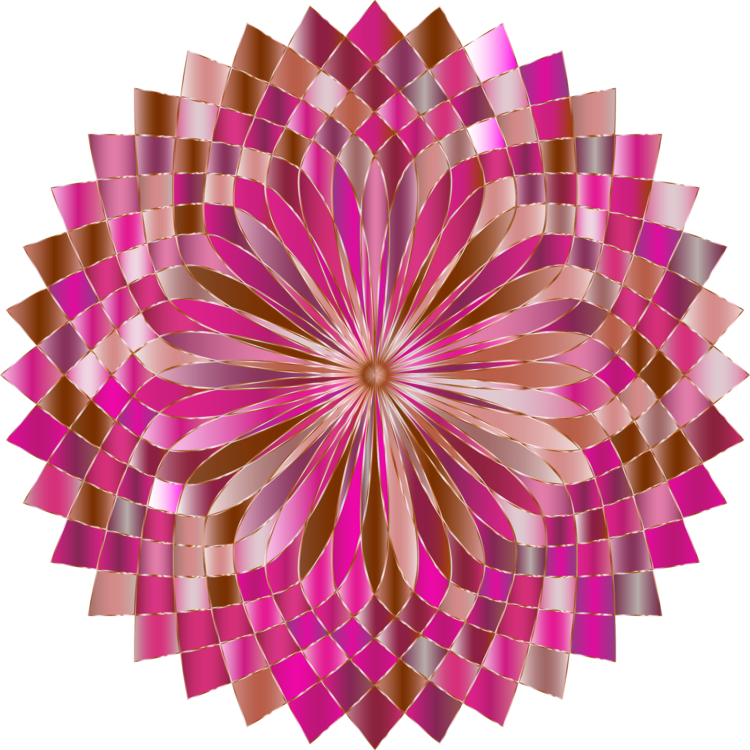 Pink,Flower,Symmetry