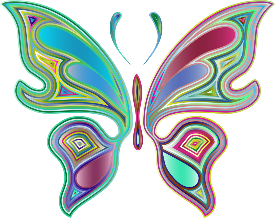Butterfly,Symmetry,Pollinator