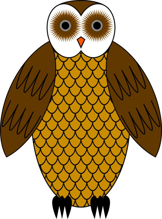 Owl,Bird,Bird Of Prey