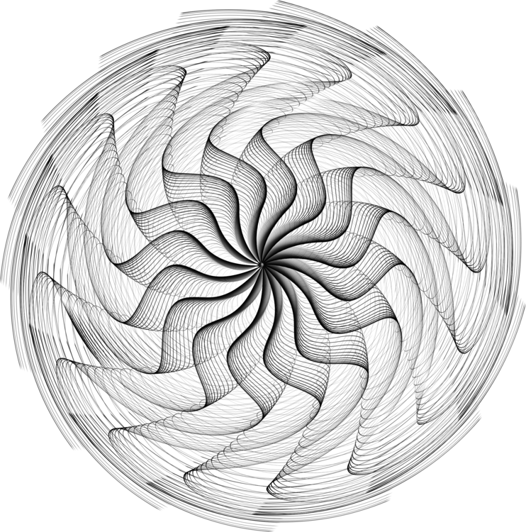 Nautilida,Symmetry,Spiral