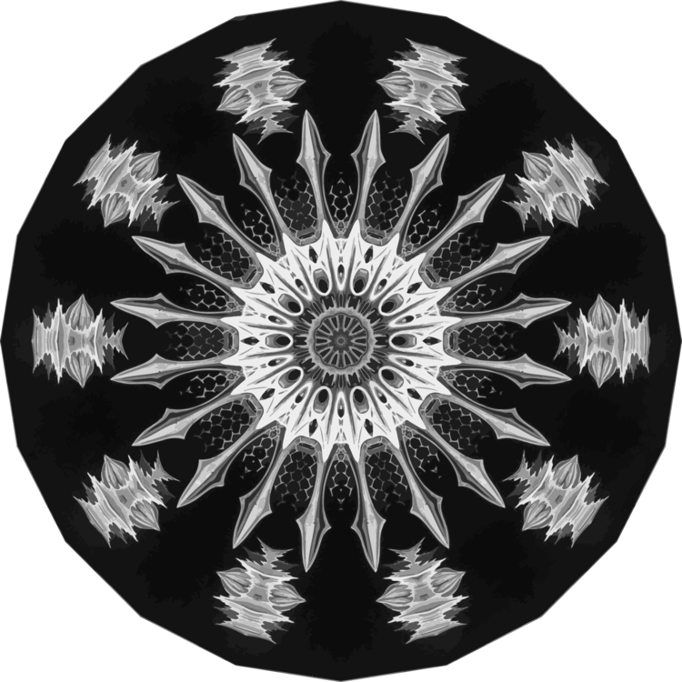 Flower,Symmetry,Monochrome Photography