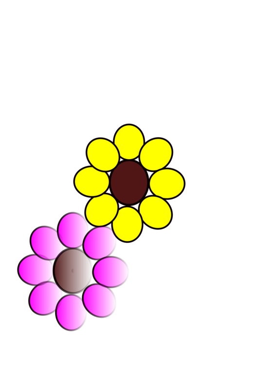 Flora,Symmetry,Area