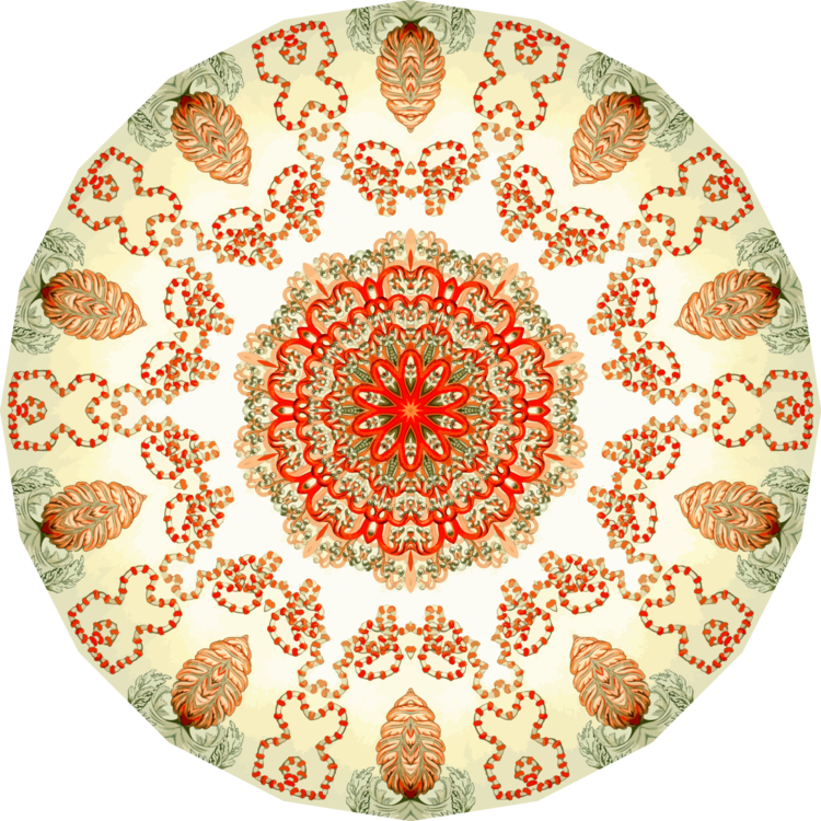 Orange,Circle,Symmetry