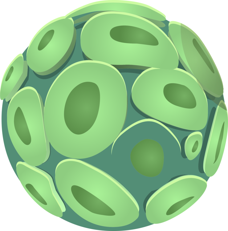 Sphere,Green,Oval