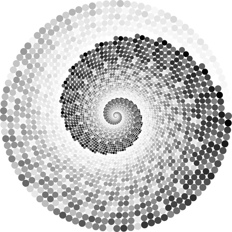 Symmetry,Monochrome Photography,Spiral