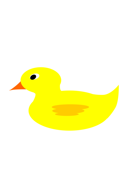 Water Bird,Livestock,Beak