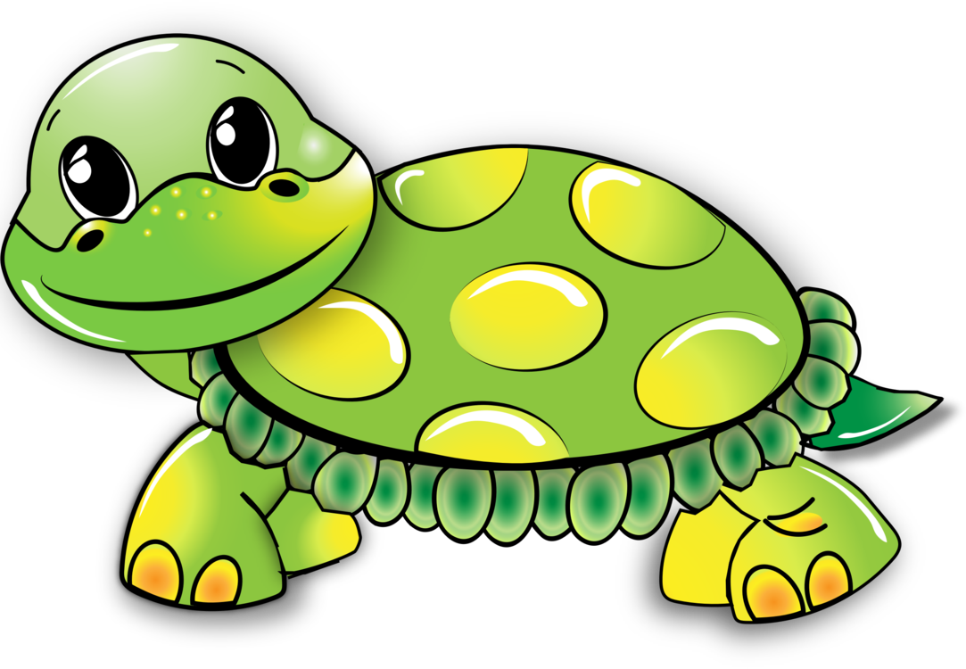 Sea Turtle Cartoon Reptile Tortoise Cartoon Turtle Wqxz0w