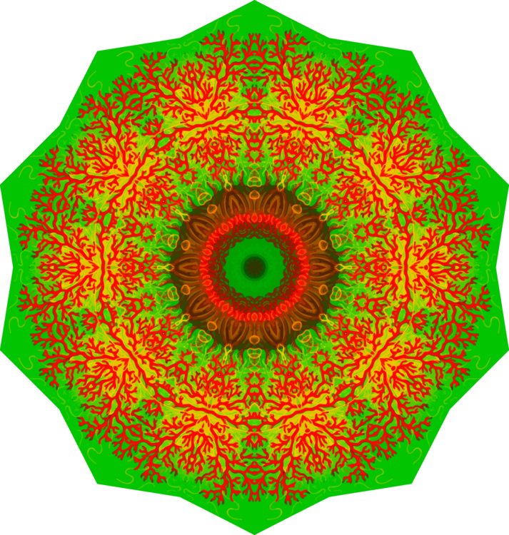 Flower,Symmetry,Green