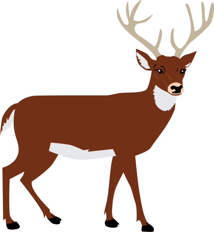 Elk,Wildlife,Animal Figure