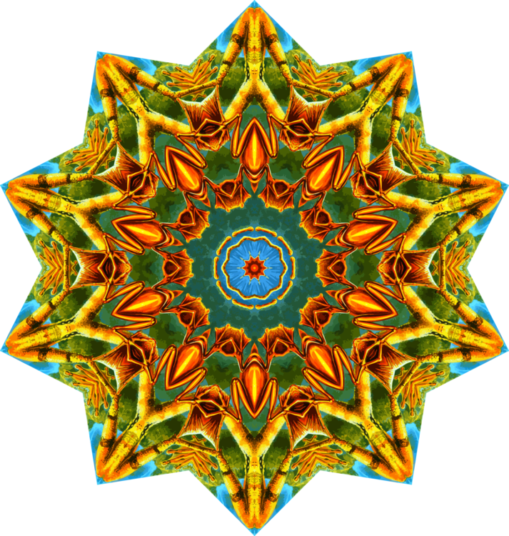 Symmetry,Turquoise,Ernst Haeckel