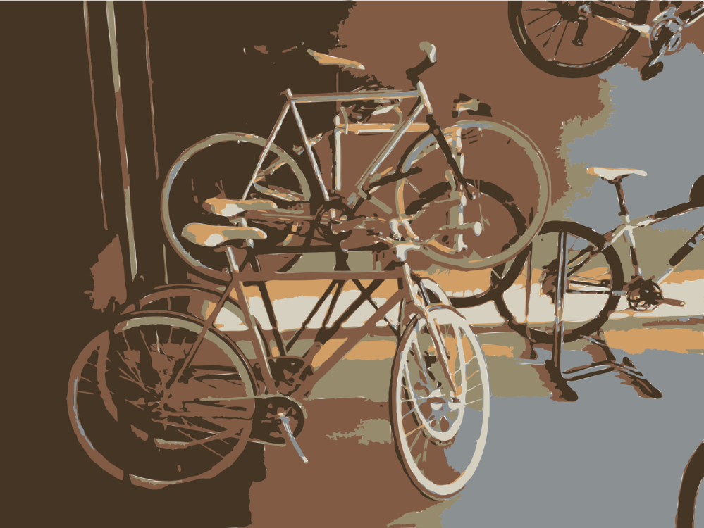 Bicycle Accessory,Wheel,Chariot