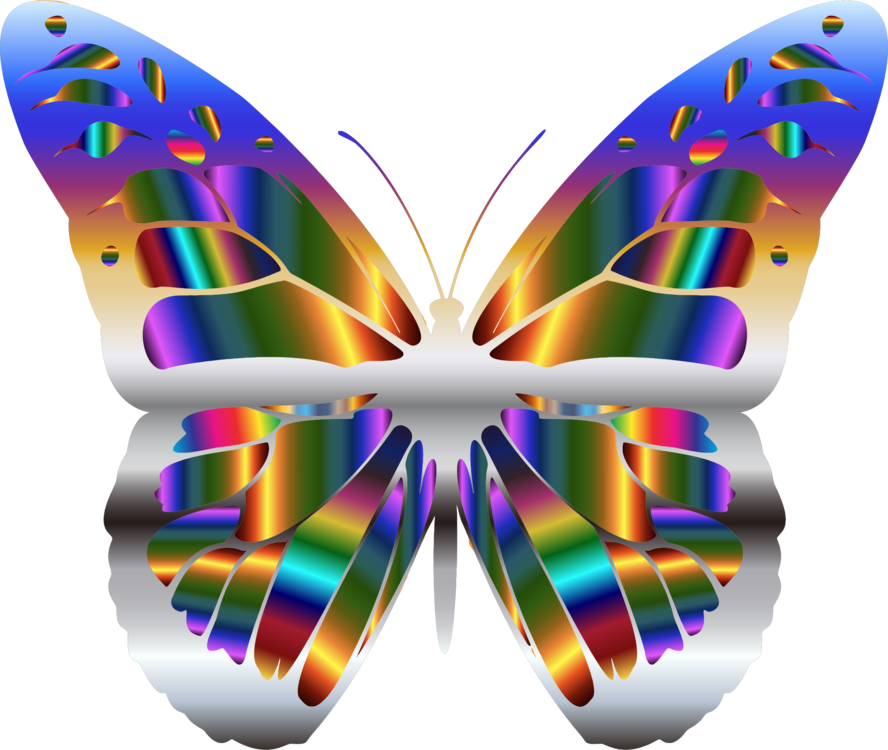 Butterfly,Graphic Design,Symmetry