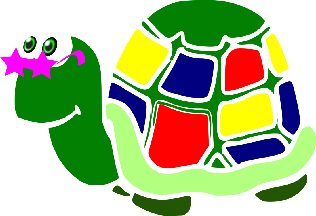 Turtle,Tortoise,Area