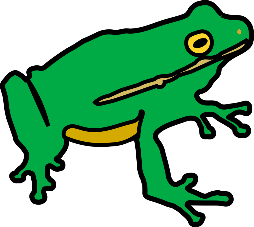 Animal Figure,Toad,Frog