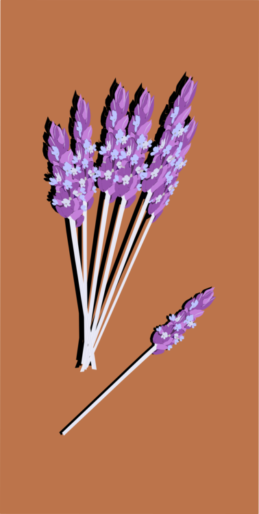 Purple,Pencil,Flower