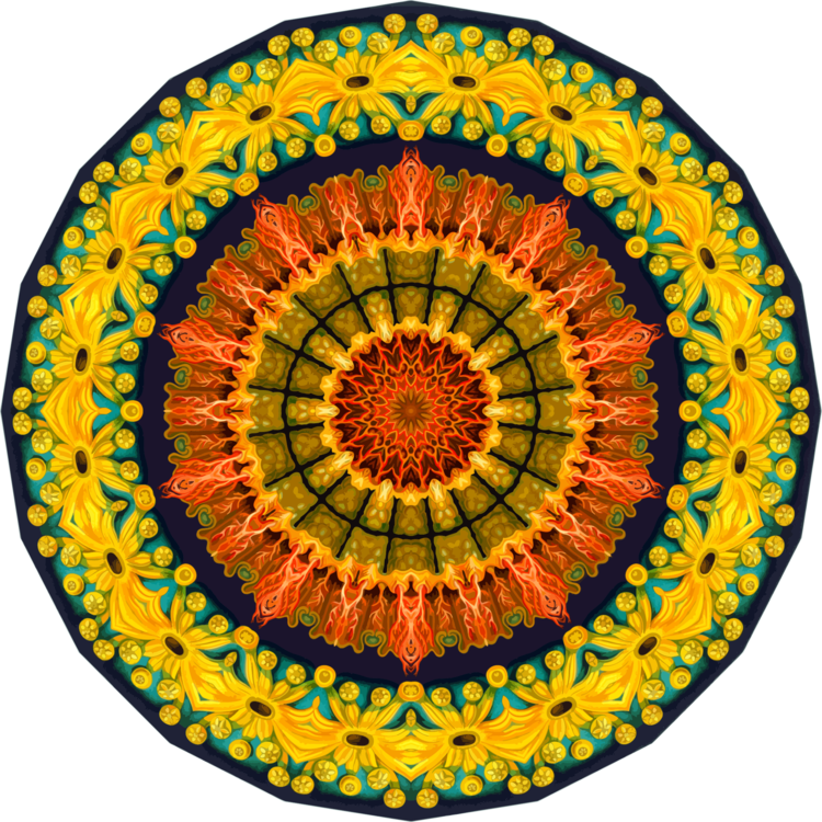 Flower,Symmetry,Orange