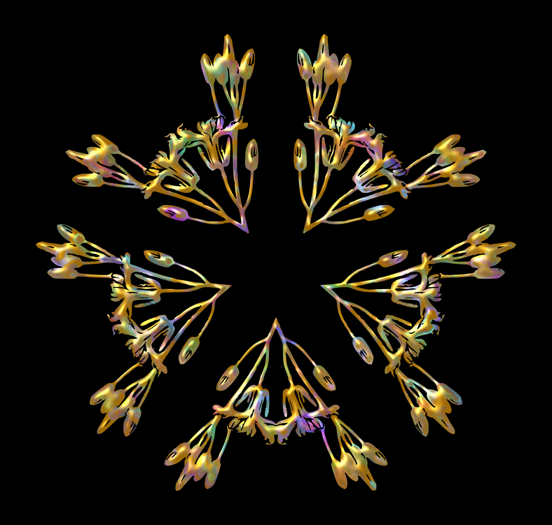 Flower,Symmetry,Computer Wallpaper