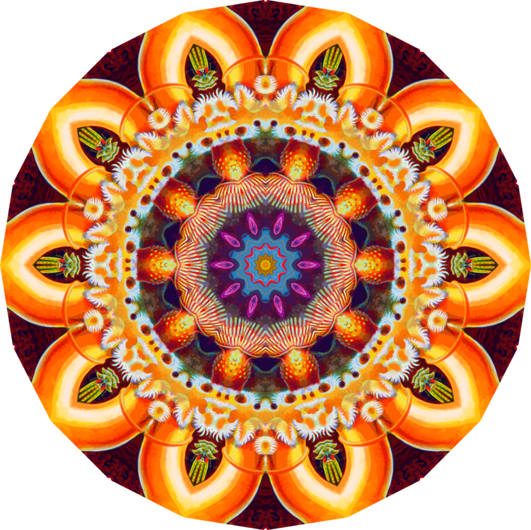 Symmetry,Spiral,Fruit
