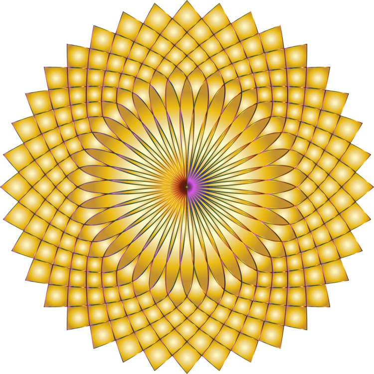 Flower,Sunflower,Symmetry