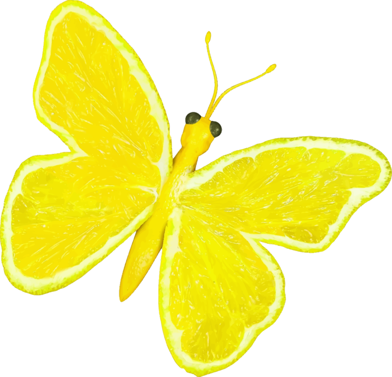 Butterfly,Lemon Lime,Lemon