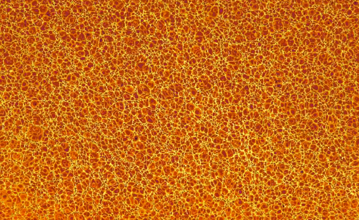 Orange,Computer Wallpaper,Yellow