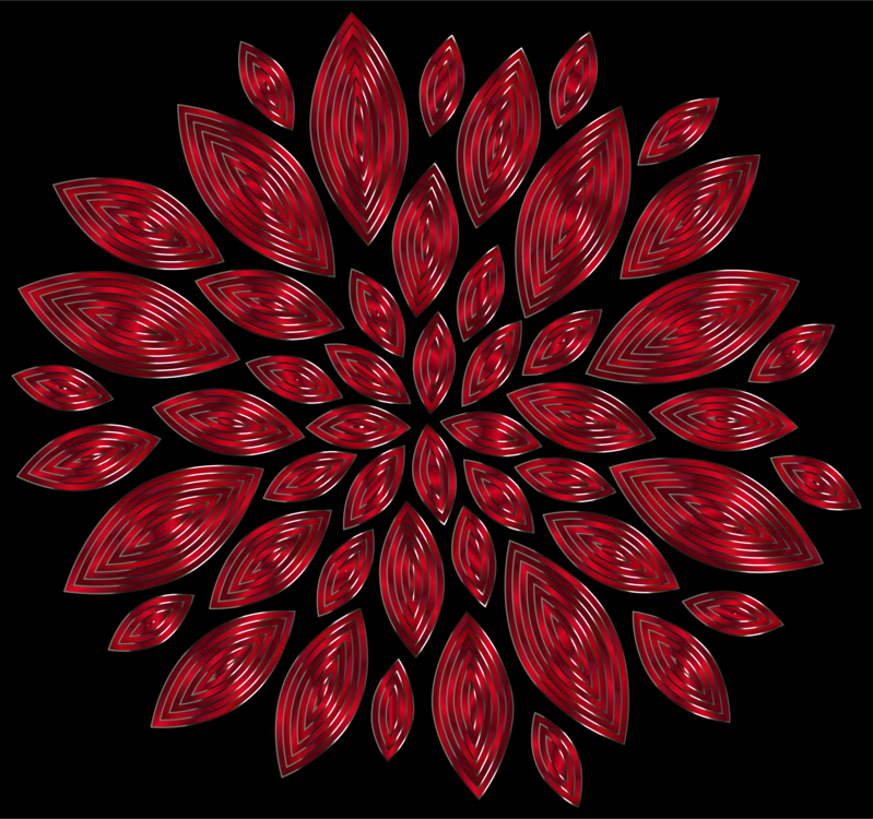 Computer Wallpaper,Flora,Symmetry