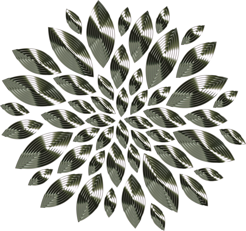 Plant,Symmetry,Monochrome Photography