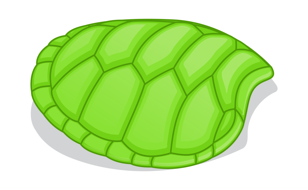 Turtle,Plant,Leaf