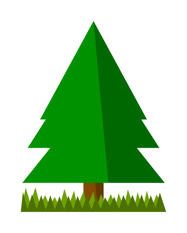 Fir,Pine Family,Christmas Ornament