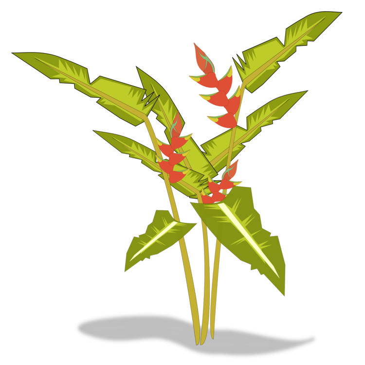 Plant Stem,Plant,Flowerpot