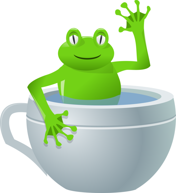 Cup,Vertebrate,Frog