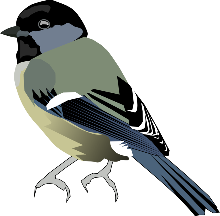 Perching Bird,Eurasian Magpie,Finch