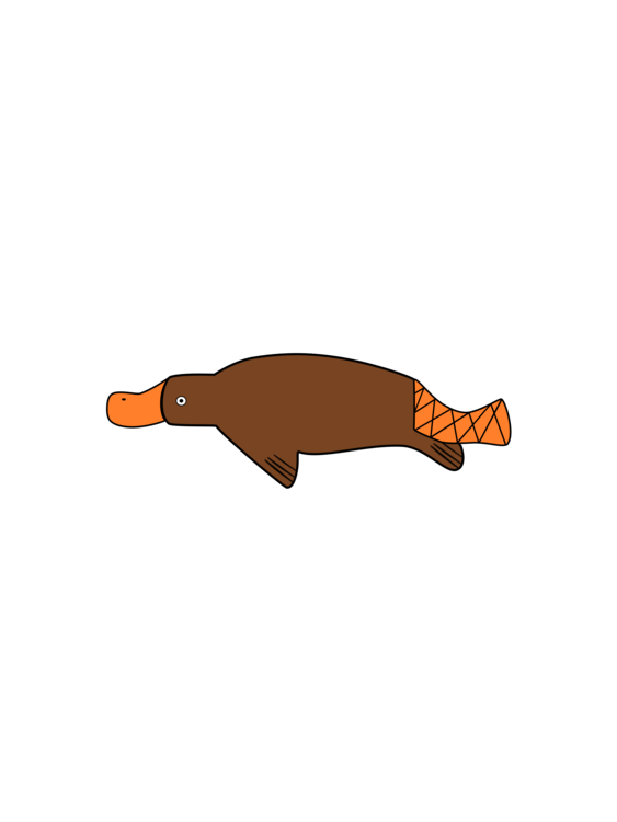 Platypus,Beak,Vertebrate