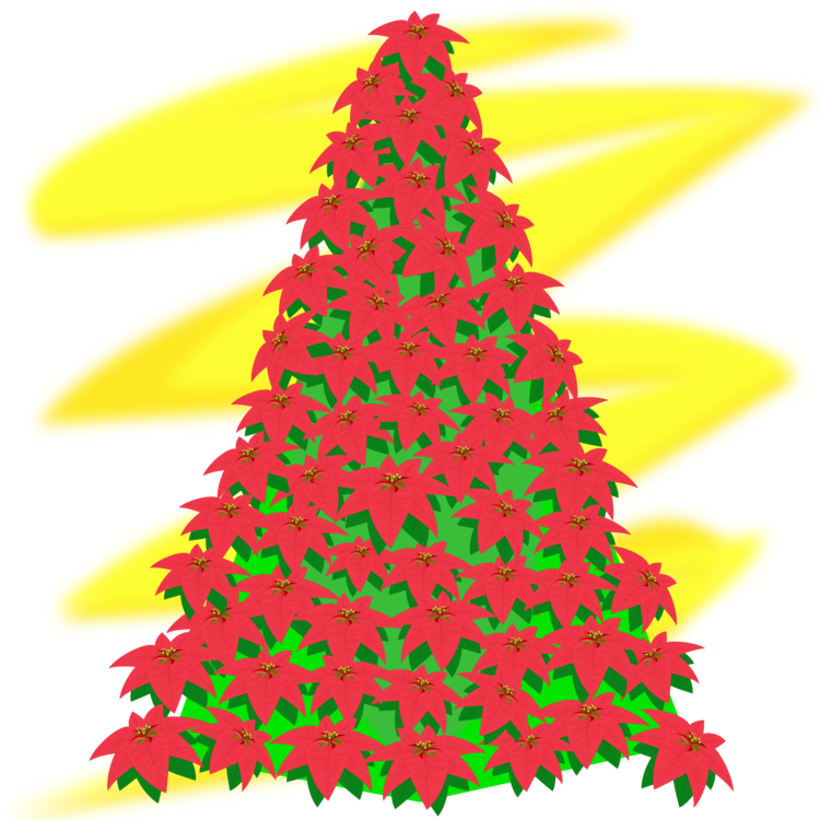 Fir,Pine Family,Christmas Decoration