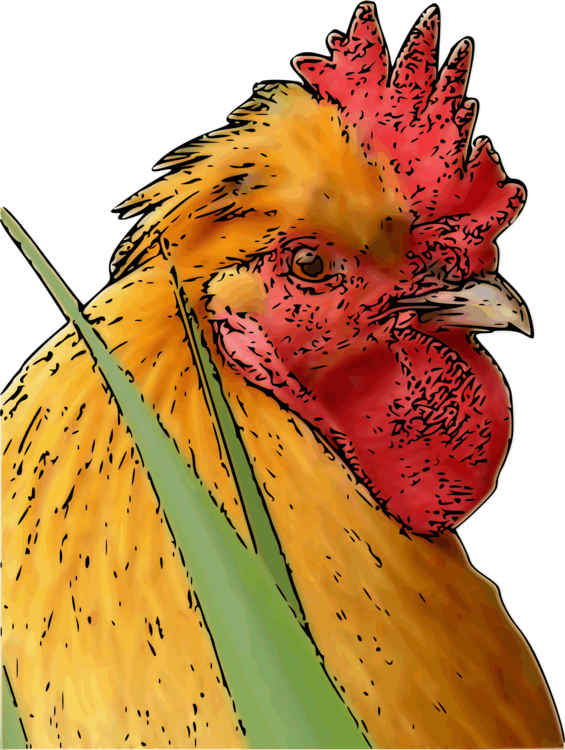 Poultry,Flower,Livestock