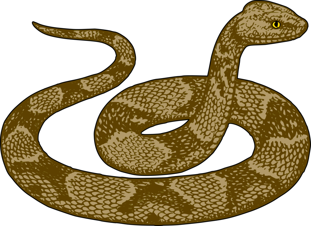 sidewinder snake drawing