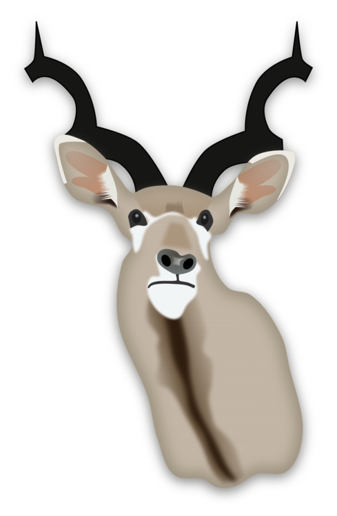 Head,Wildlife,Deer