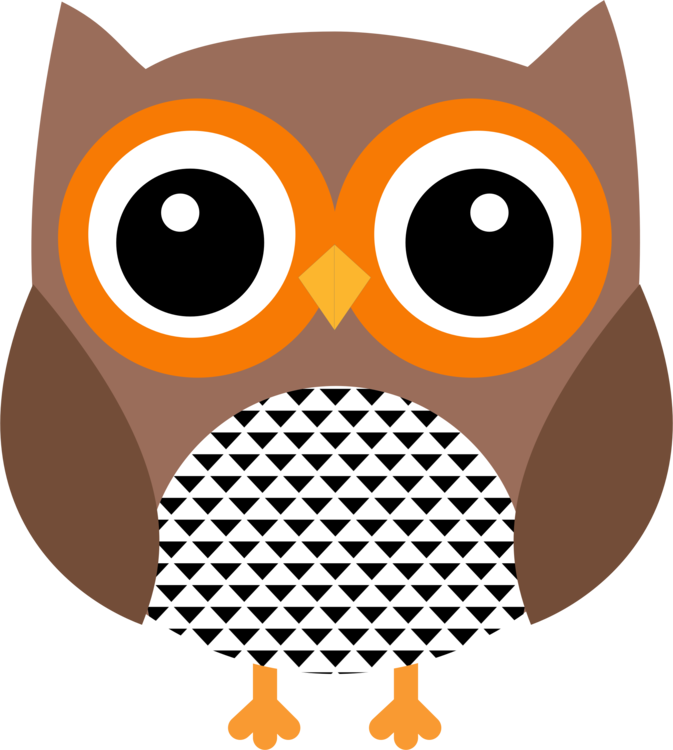 Owl,Snout,Bird Of Prey