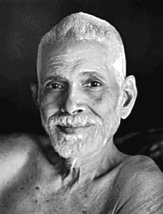 Head,Wrinkle,Elder