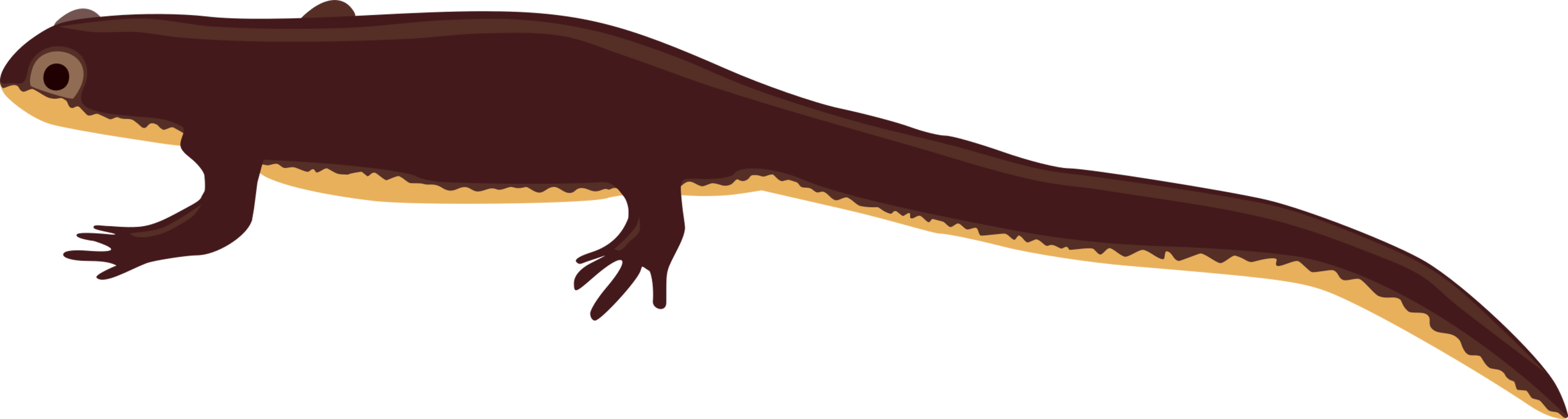 Reptile,Tyrannosaurus,Wildlife